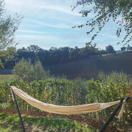 In Serra De Conti With Wifi Serra deʼ Conti