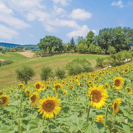 In Serra De Conti With Wifi Casa vacanze Serra deʼ Conti