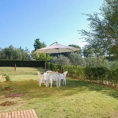 In Serra De Conti With Wifi Casa vacanze